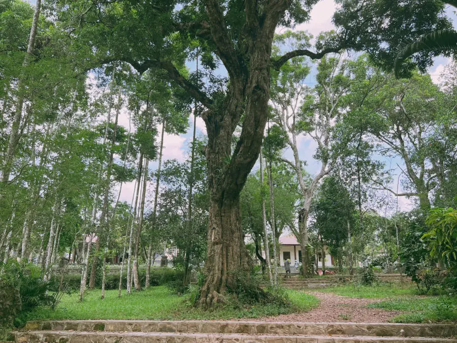 Đến Ch&ugrave;a Từ Hiếu chi&ecirc;m ngưỡng ng&ocirc;i cổ tự độc đ&aacute;o của Cố đ&ocirc; Huế 7