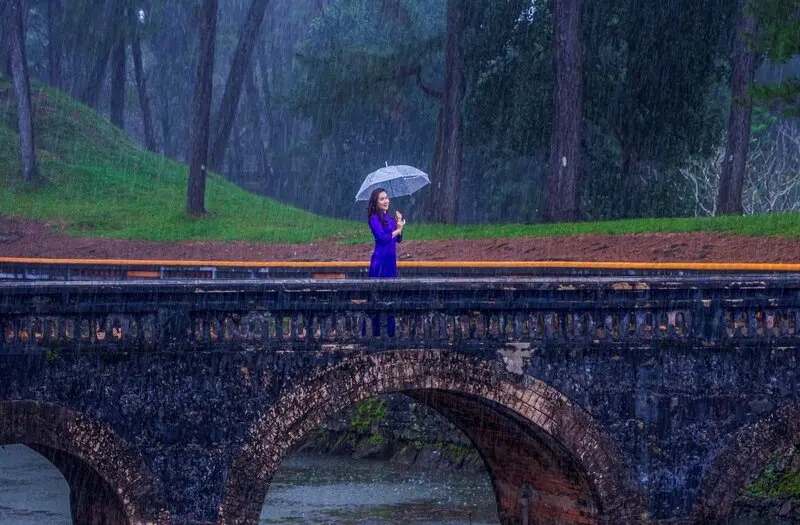 Đi Huế m&ugrave;a n&agrave;o đẹp? H&agrave;nh tr&igrave;nh đi t&igrave;m m&ugrave;a đẹp nhất của cố đ&ocirc; 7