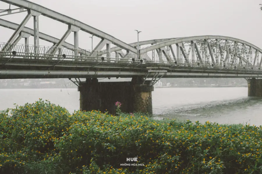 Ngắm nh&igrave;n Huế những m&ugrave;a mưa buồn man m&aacute;c 3