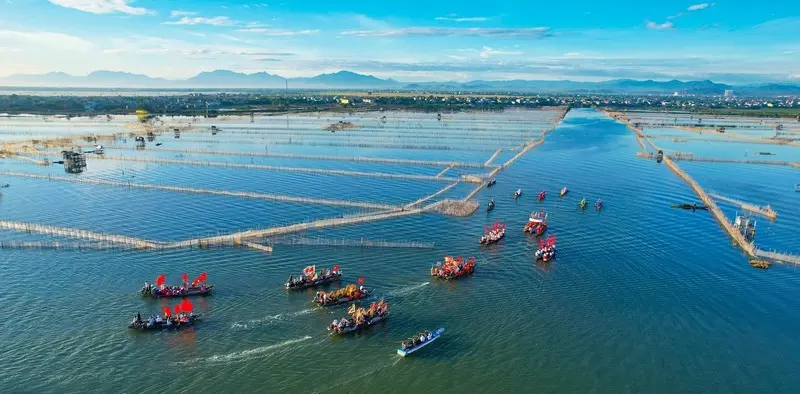 Ph&aacute; Tam Giang: Vẻ đẹp mơ mộng giữa r&aacute;ng chiều xứ Huế 3