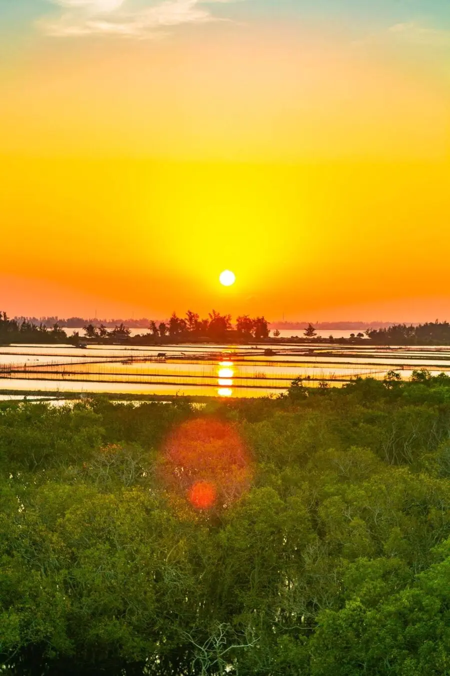 Rừng R&uacute; Ch&aacute; v&agrave;o thu, kh&ocirc;ng gian nguy&ecirc;n sơ v&ugrave;ng ngoại th&agrave;nh xứ Huế 2
