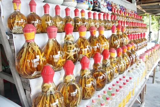 Cá ngựa khô - Thần dược quý đến từ vùng biển Nha Trang 4
