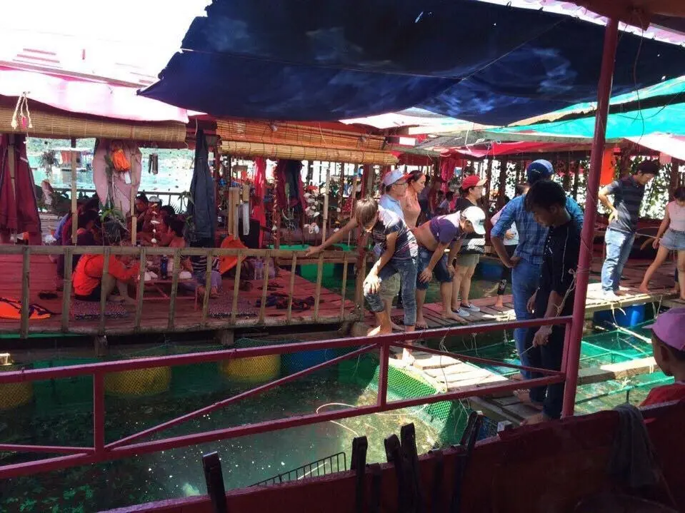 B&atilde;i biển Đại L&atilde;nh, một trong những thi&ecirc;n đường biển đẹp nhất Việt Nam 13