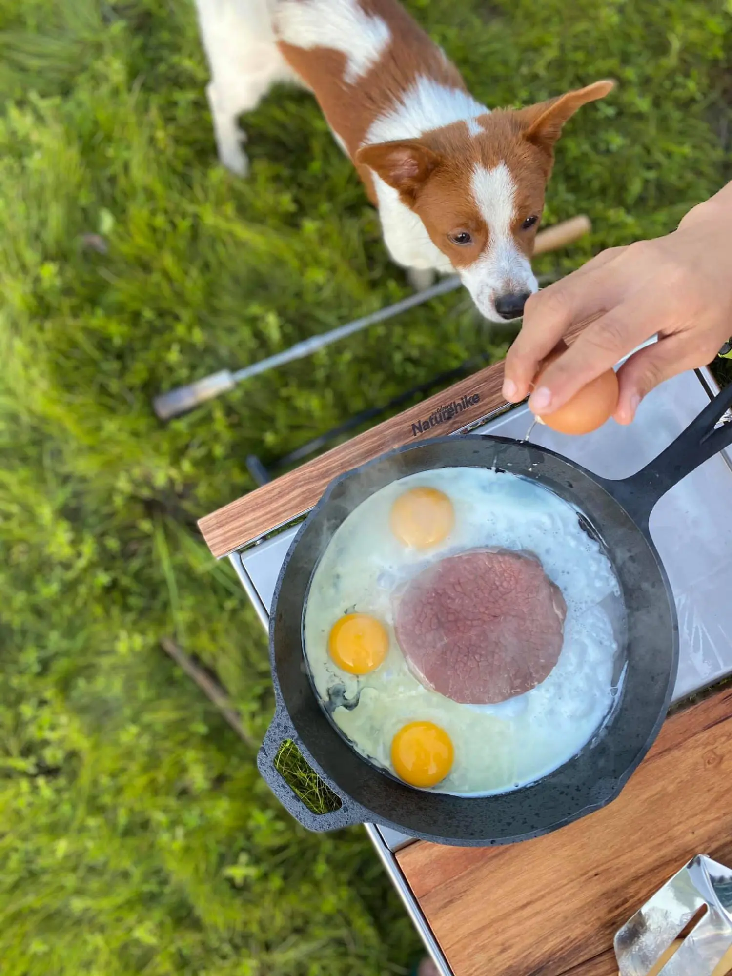 Buổi chiều ngồi chill - C&ugrave;ng T&acirc;m Tour cắm trại giữa n&uacute;i rừng Nha Trang đẹp tựa tranh vẽ 8