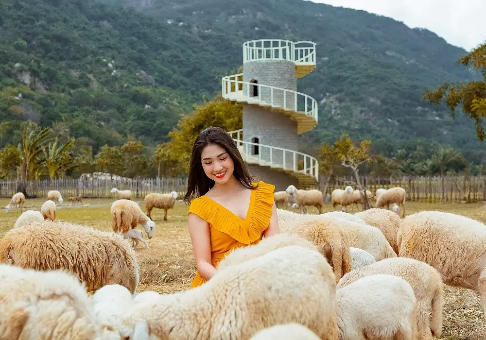 Đồng Cừu Suối Ti&ecirc;n - Thi&ecirc;n đường sống ảo d&agrave;nh cho giới trẻ 5