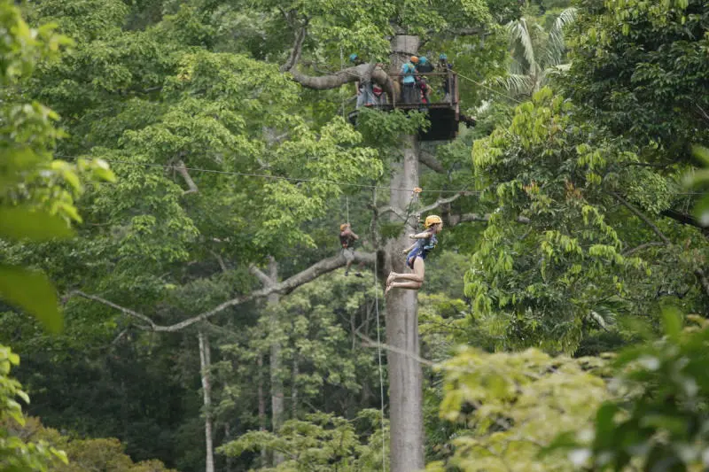 Kh&aacute;m ph&aacute; C&ocirc;ng vi&ecirc;n th&aacute;m hiểm Kong Forest lớn nhất Việt Nam 4