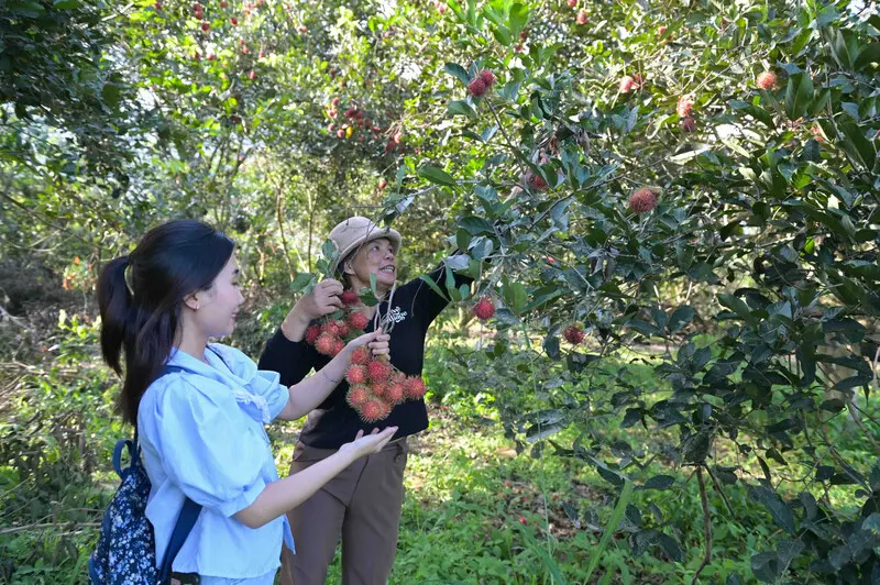 Kh&aacute;m ph&aacute; Kh&aacute;nh Sơn, nơi được mệnh danh l&agrave; &ldquo;Đ&agrave; Lạt thu nhỏ&rdquo; của Kh&aacute;nh H&ograve;a 9