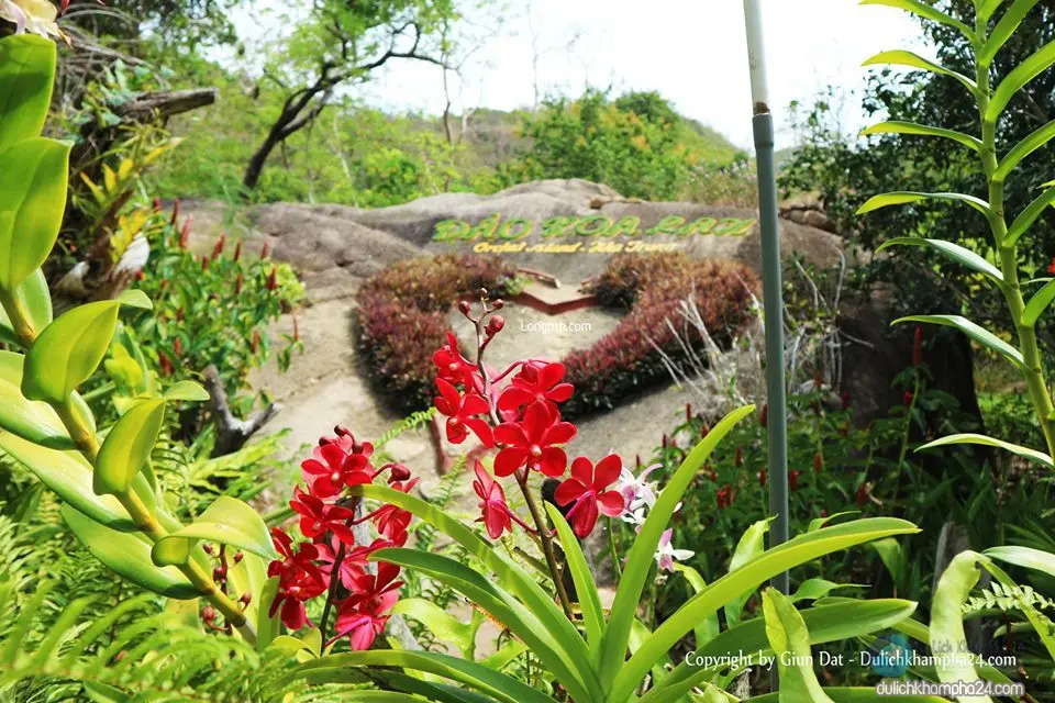 Lạc lối ở Vịnh Nha Phu - Thi&ecirc;n đường nhiệt đới trong l&ograve;ng biển cả 19
