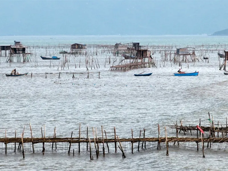 Lạc lối ở Vịnh Nha Phu - Thi&ecirc;n đường nhiệt đới trong l&ograve;ng biển cả 4