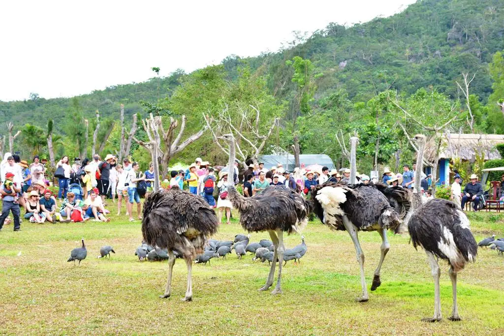 Lạc lối ở Vịnh Nha Phu - Thi&ecirc;n đường nhiệt đới trong l&ograve;ng biển cả 21