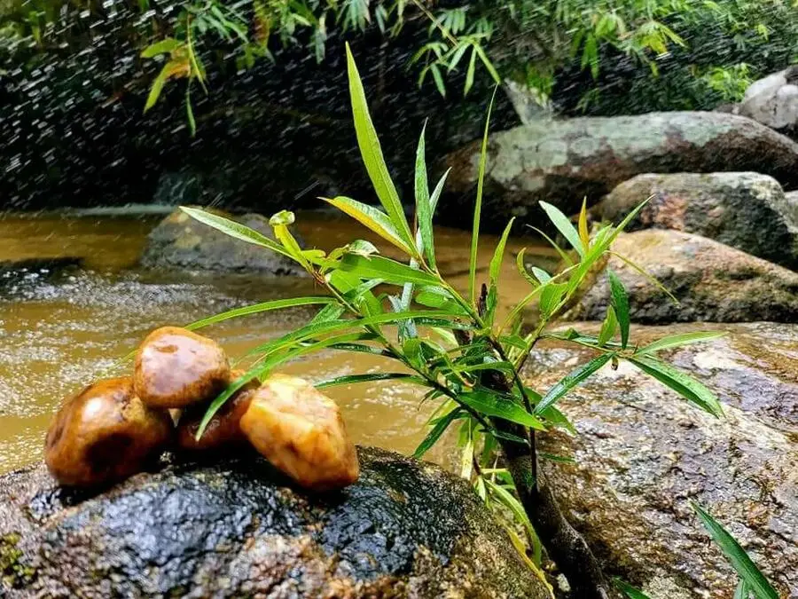 L&agrave;ng Nhỏ (Hồ L&aacute;ng Nhớt), điểm cắm trại y&ecirc;n b&igrave;nh cực gần Nha Trang 2