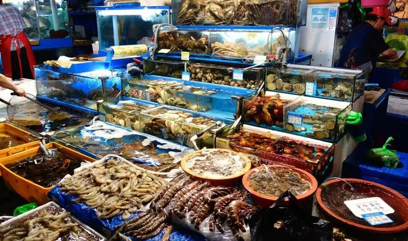 N&agrave;ng thơ Vạn Ninh xinh đẹp của xứ biển Kh&aacute;nh H&ograve;a 10