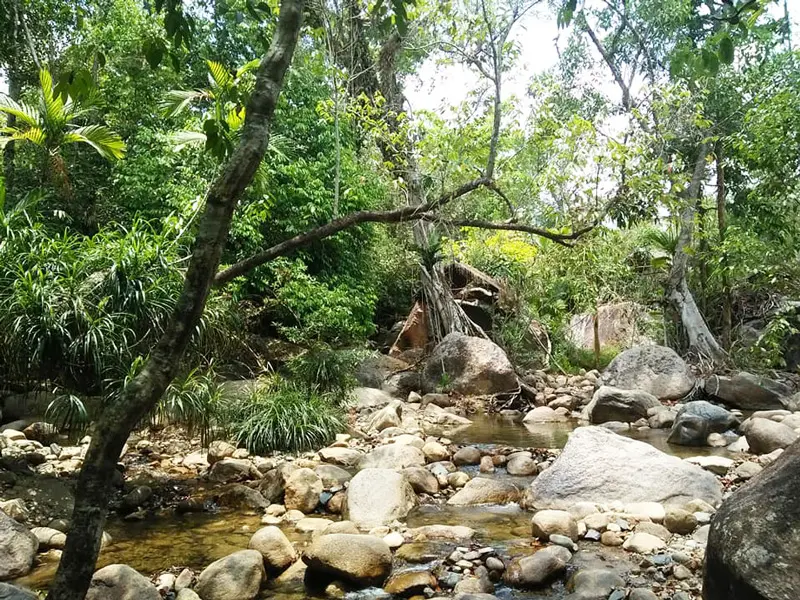 Suối L&aacute;ch Kh&aacute;nh Vĩnh: Điểm &ldquo;trốn n&oacute;ng&rdquo; l&yacute; tưởng gần Nha Trang 4