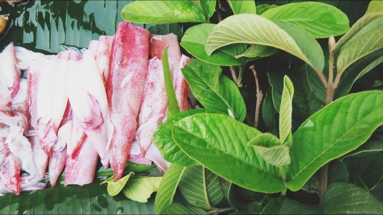 Vịnh Ninh V&acirc;n Kh&aacute;nh H&ograve;a: Ngất ng&acirc;y trước vẻ đẹp hoang sơ, l&atilde;ng mạn 14