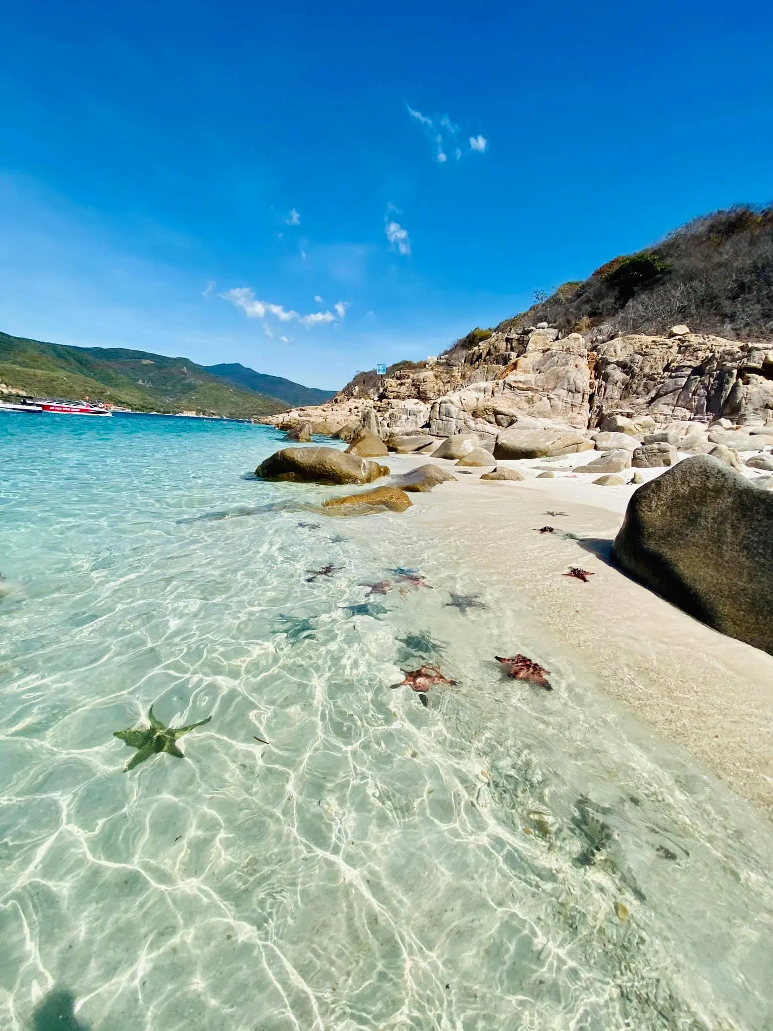 Lịch tr&igrave;nh kh&aacute;m ph&aacute; đảo B&igrave;nh Hưng 1 ng&agrave;y d&agrave;nh cho c&aacute;c travelholic ch&iacute;nh hiệu 2