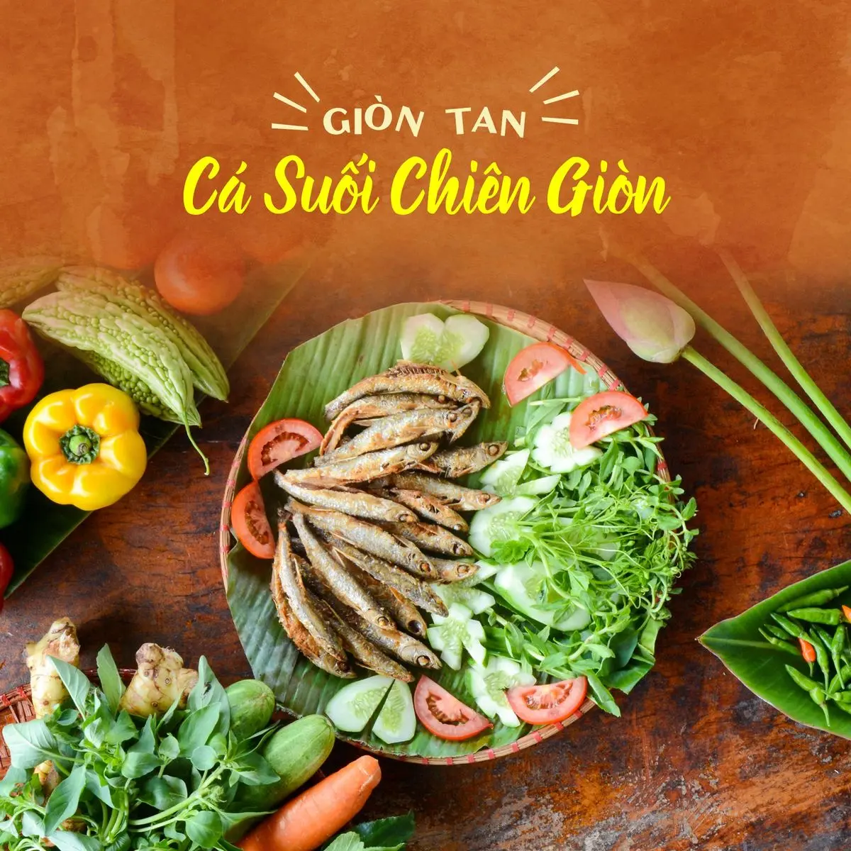 Lịch tr&igrave;nh kh&aacute;m ph&aacute; KDL Yang Bay trong 1 ng&agrave;y cực chi tiết cho những bạn mới đi lần đầu 13