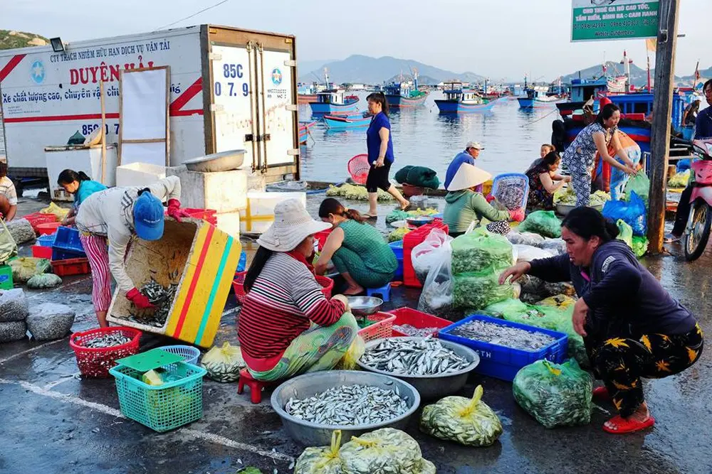 Tour kh&aacute;m ph&aacute; B&igrave;nh ba trong 1 ng&agrave;y cực hấp dẫn 8