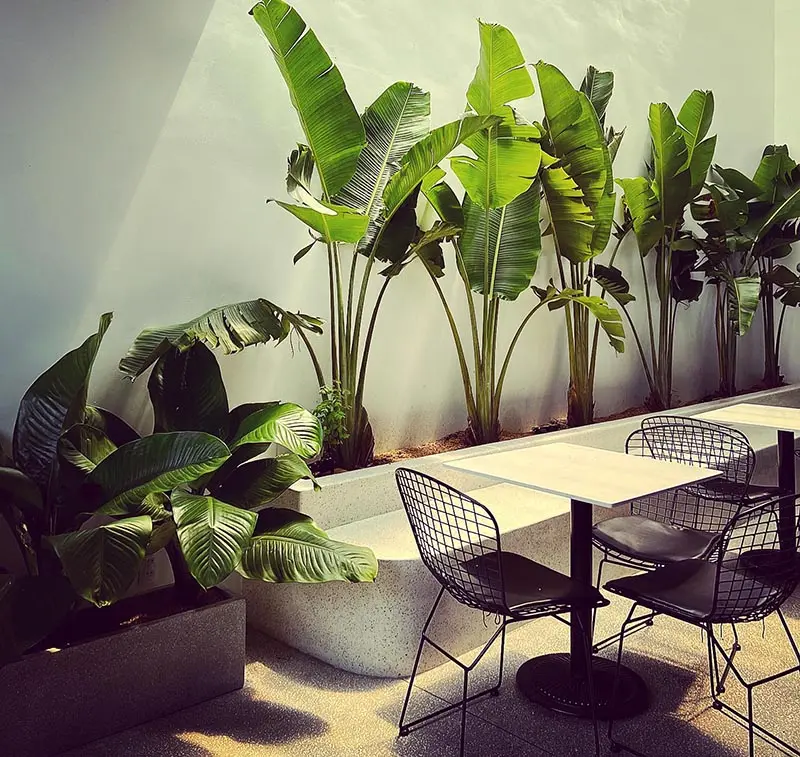 Hy the coffee shop v&agrave; kh&ocirc;ng gian c&agrave; ph&ecirc; trẻ trung, hiện đại 3
