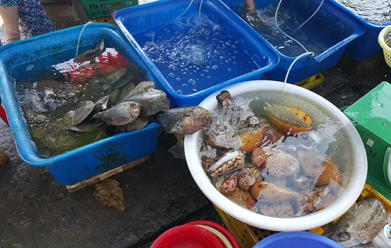 Lịch tr&igrave;nh du lịch Nam Du 3N2Đ với nhiều trải nghiệm hấp dẫn 10