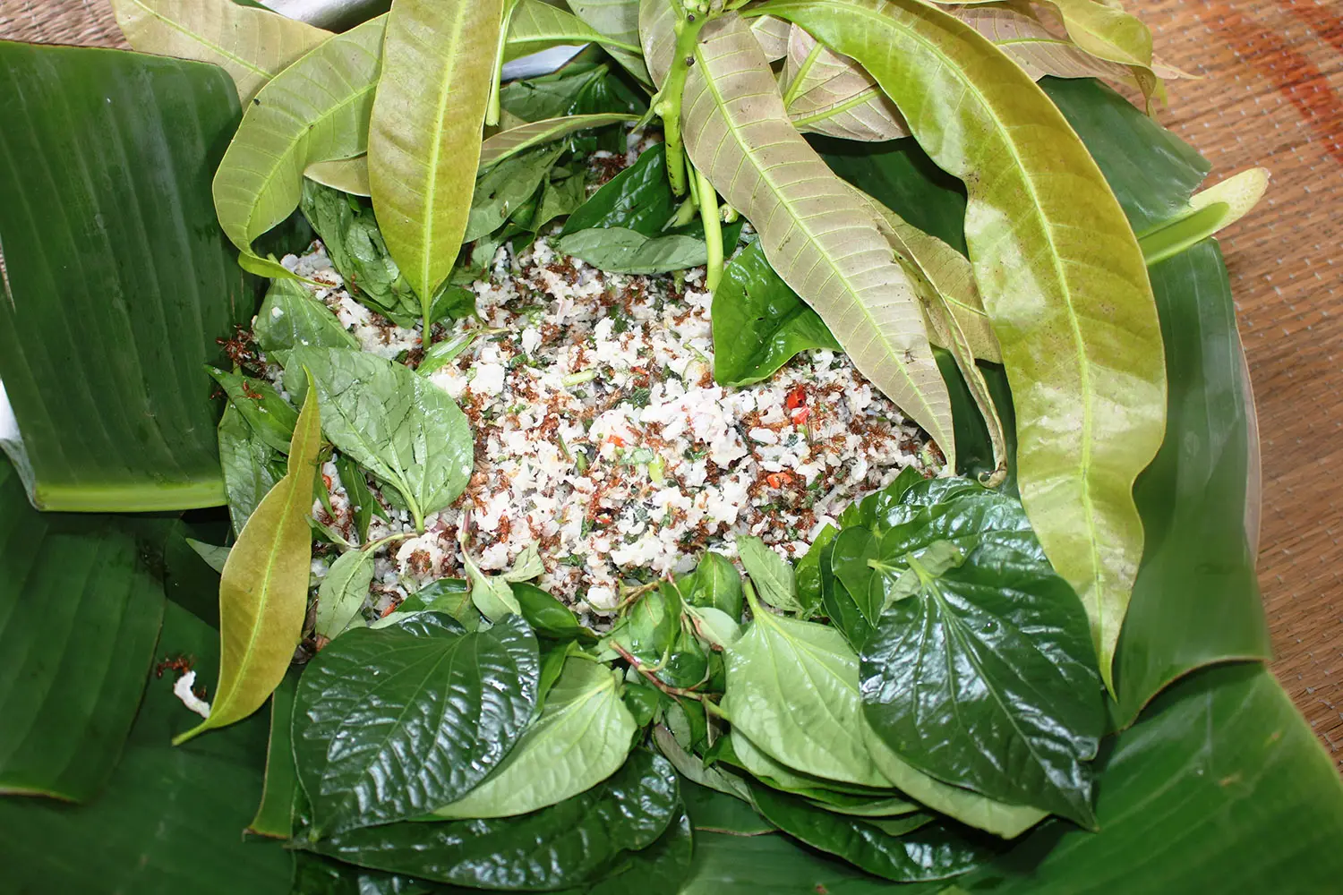 C&aacute; gỏi kiến v&agrave;ng, đặc sản độc đ&aacute;o của người d&acirc;n Rơ Măm 8