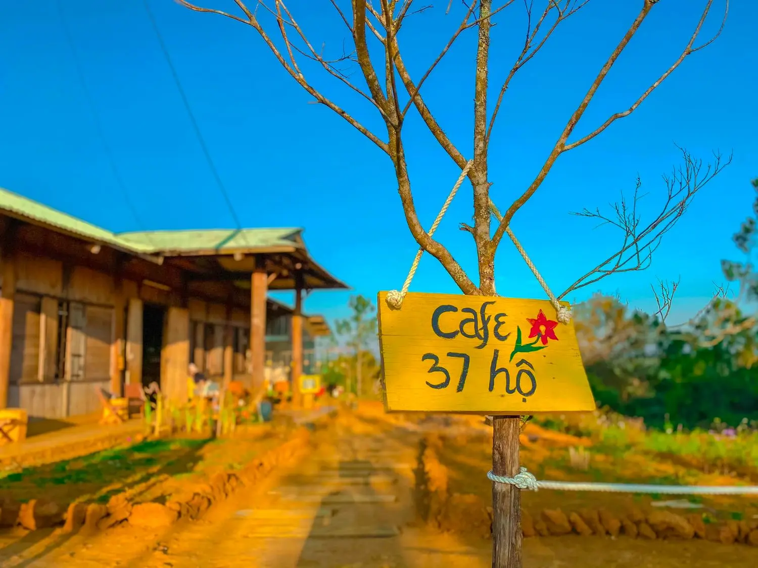 Cafe 37 hộ Măng Đen đốn tim người gh&eacute; với kh&ocirc;ng gian đơn sơ, y&ecirc;n b&igrave;nh 2