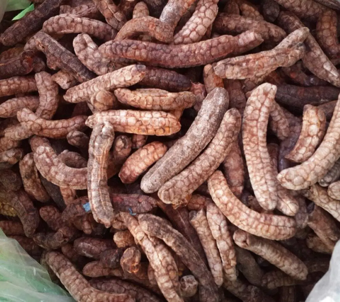 Chuối hột rừng Kon Tum, loại dược liệu thần kỳ của v&ugrave;ng n&uacute;i cao 5