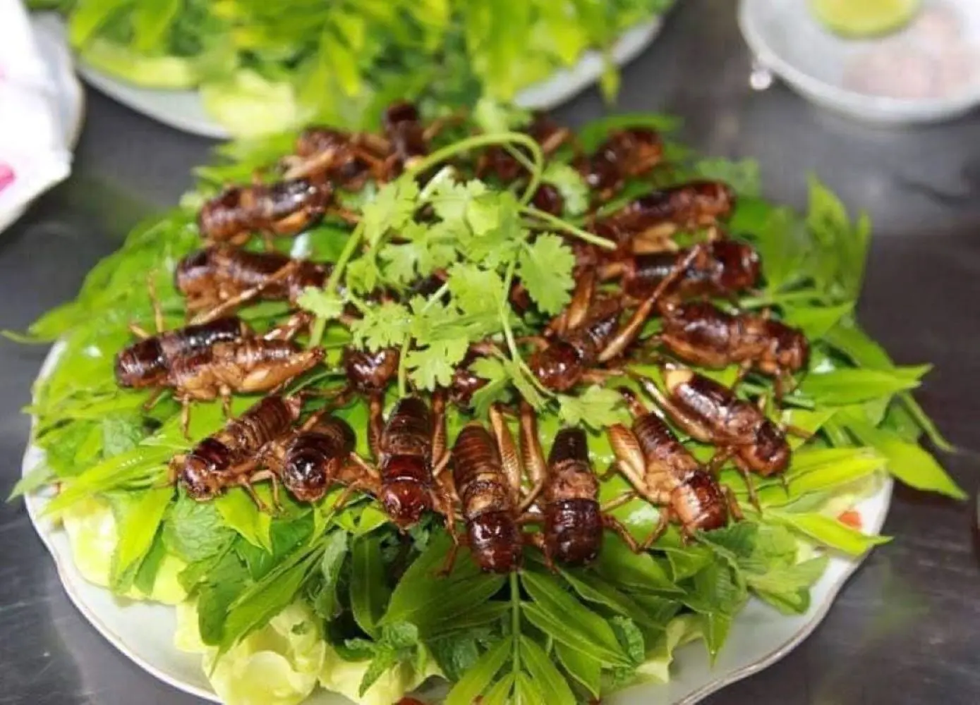 Dế chiên Kon Tum, món ăn đặc sản nổi tiếng ở vùng đất Tây Nguyên 3