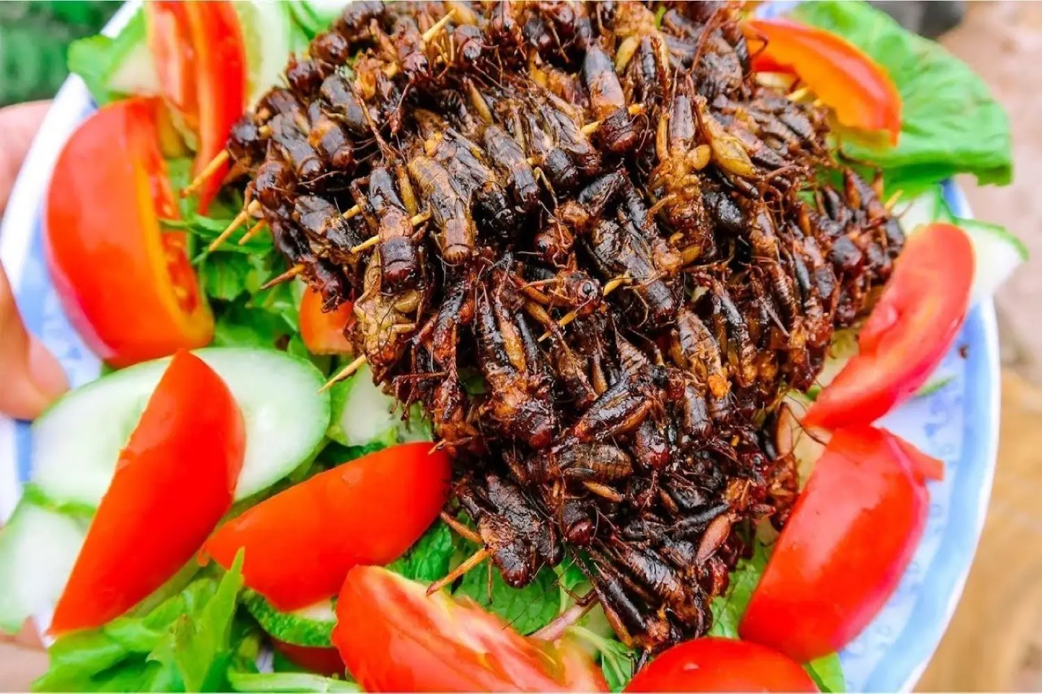 Dế chiên Kon Tum, món ăn đặc sản nổi tiếng ở vùng đất Tây Nguyên 6