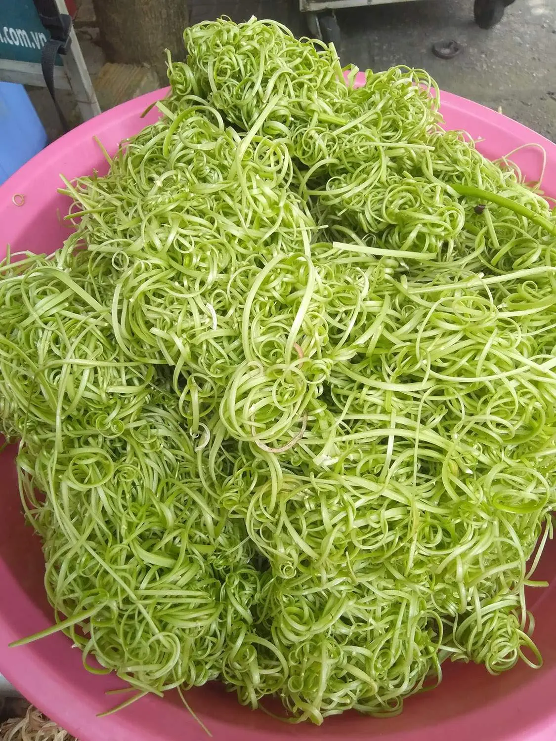 Đến Bún mắm miền Tây Cô Phương Sài Gòn thưởng thức món ăn trứ danh 5