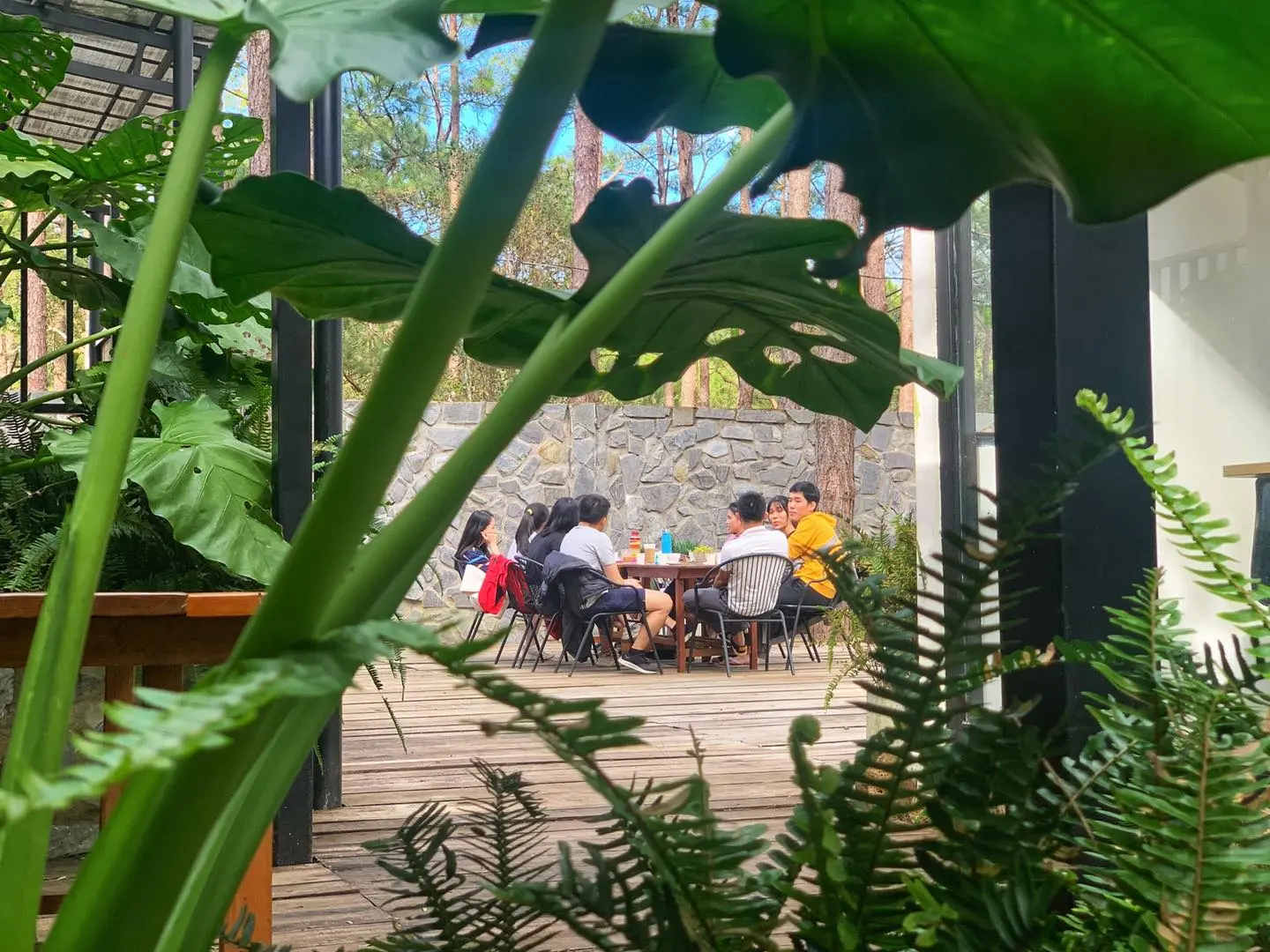 Đến Mountain Lodge Restaurant thưởng thức đặc sản Kon Tum thoải m&aacute;i như ở nh&agrave; 8