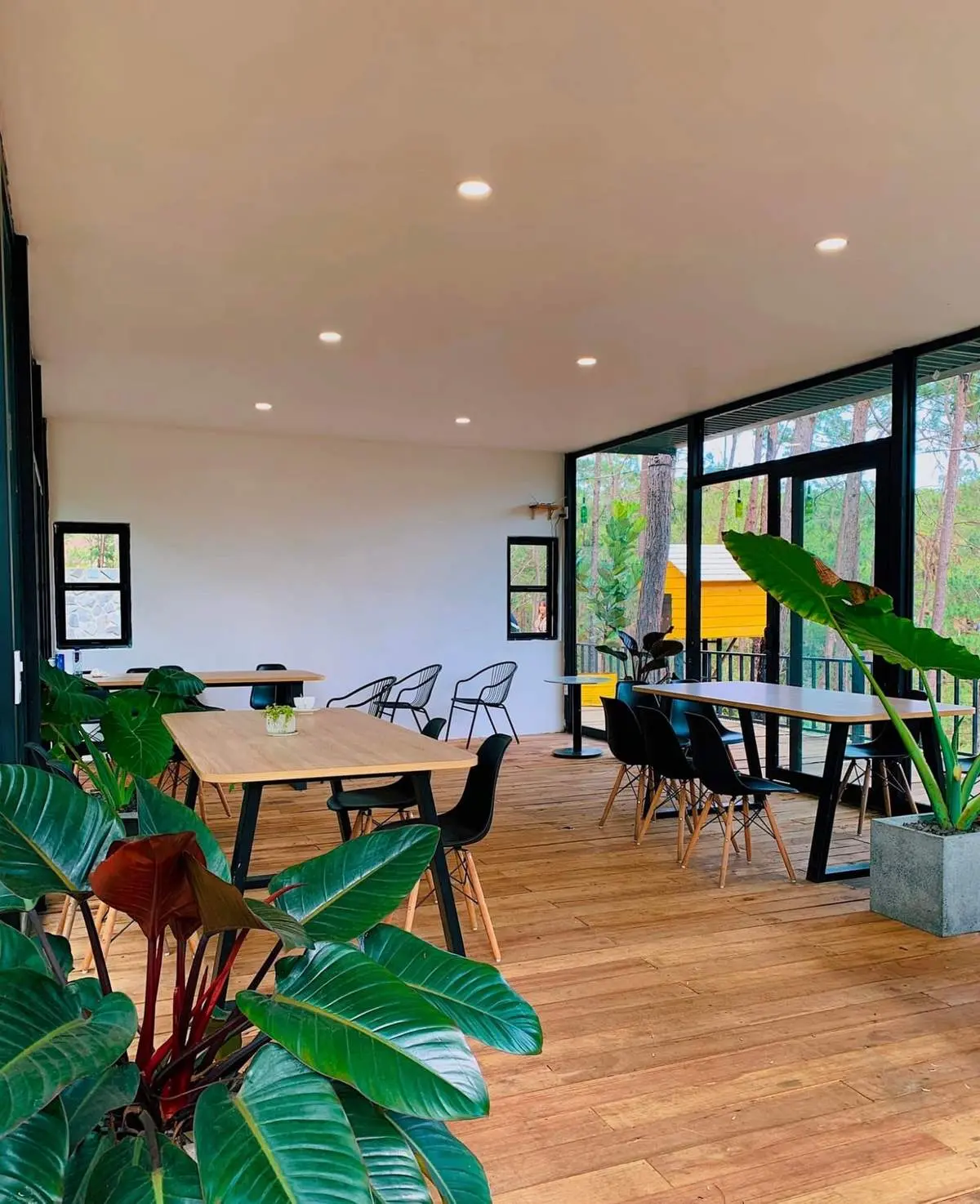 Đến Mountain Lodge Restaurant thưởng thức đặc sản Kon Tum thoải m&aacute;i như ở nh&agrave; 6