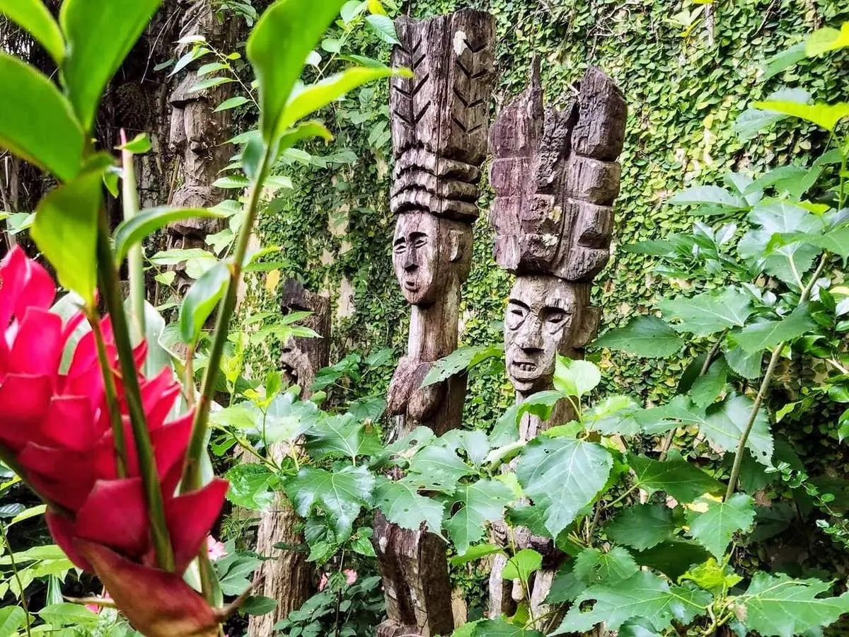 Eva Cafe, nơi h&ograve;a m&igrave;nh v&agrave;o cảnh sắc đại ng&agrave;n T&acirc;y Nguy&ecirc;n 5