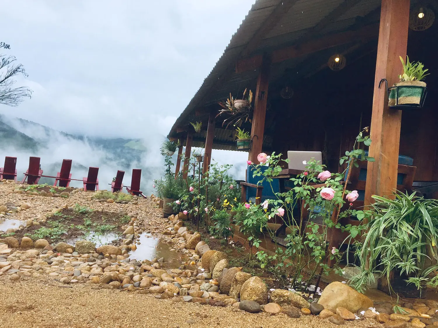 GlampRose, m&ocirc; h&igrave;nh c&agrave; ph&ecirc; v&agrave; homestay độc đ&aacute;o giữa l&ograve;ng Măng Đen 2