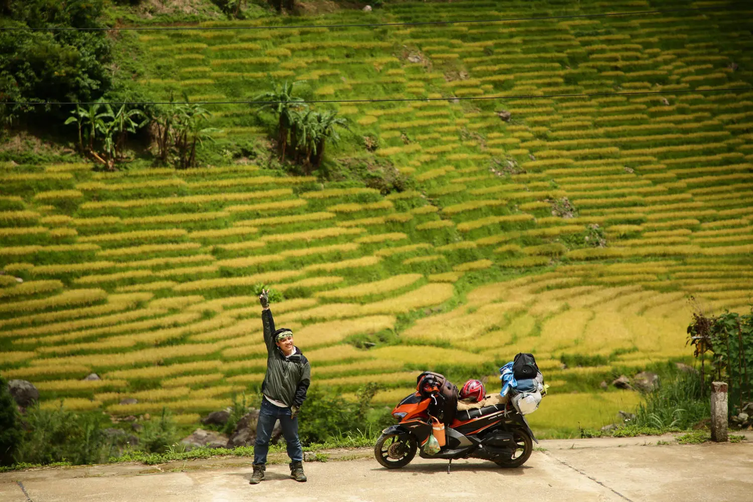 Chiêm ngưỡng Ruộng bậc thang Ngọc Linh đẹp mê hồn trên cao nguyên hùng vĩ 2
