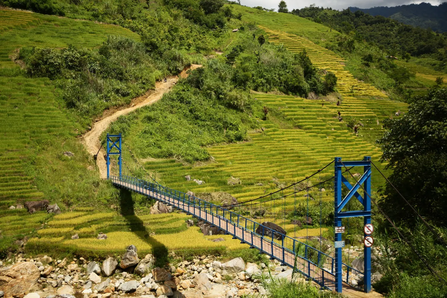 Chiêm ngưỡng Ruộng bậc thang Ngọc Linh đẹp mê hồn trên cao nguyên hùng vĩ 9