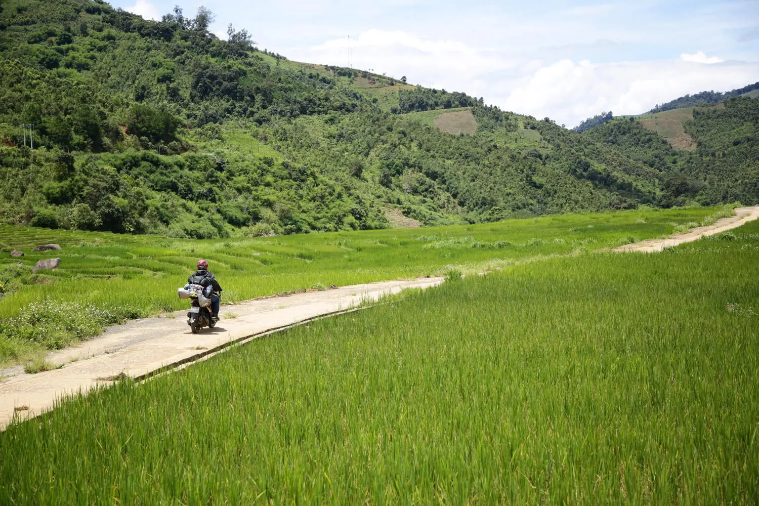Chiêm ngưỡng Ruộng bậc thang Ngọc Linh đẹp mê hồn trên cao nguyên hùng vĩ 10