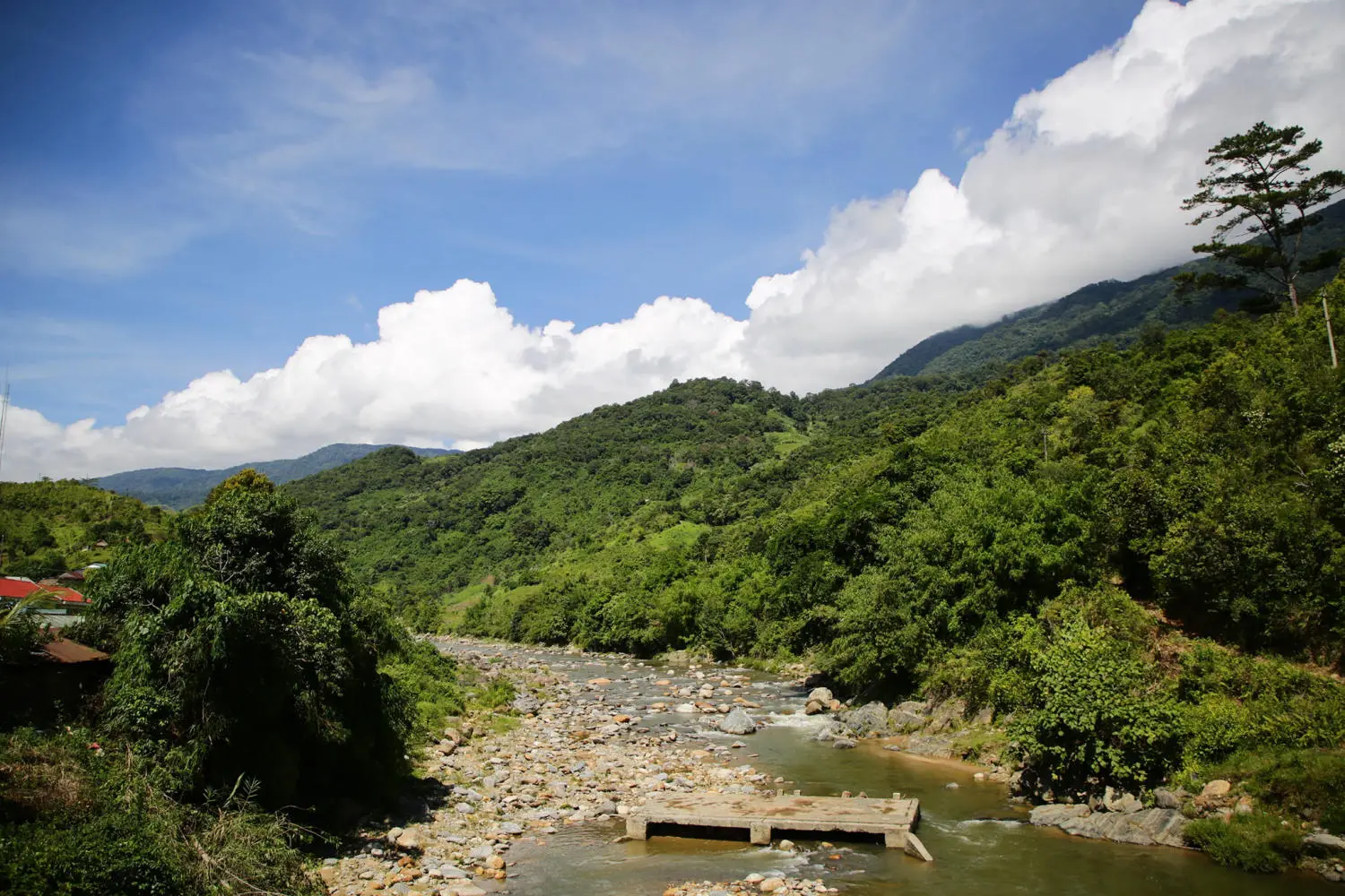 Chiêm ngưỡng Ruộng bậc thang Ngọc Linh đẹp mê hồn trên cao nguyên hùng vĩ 7