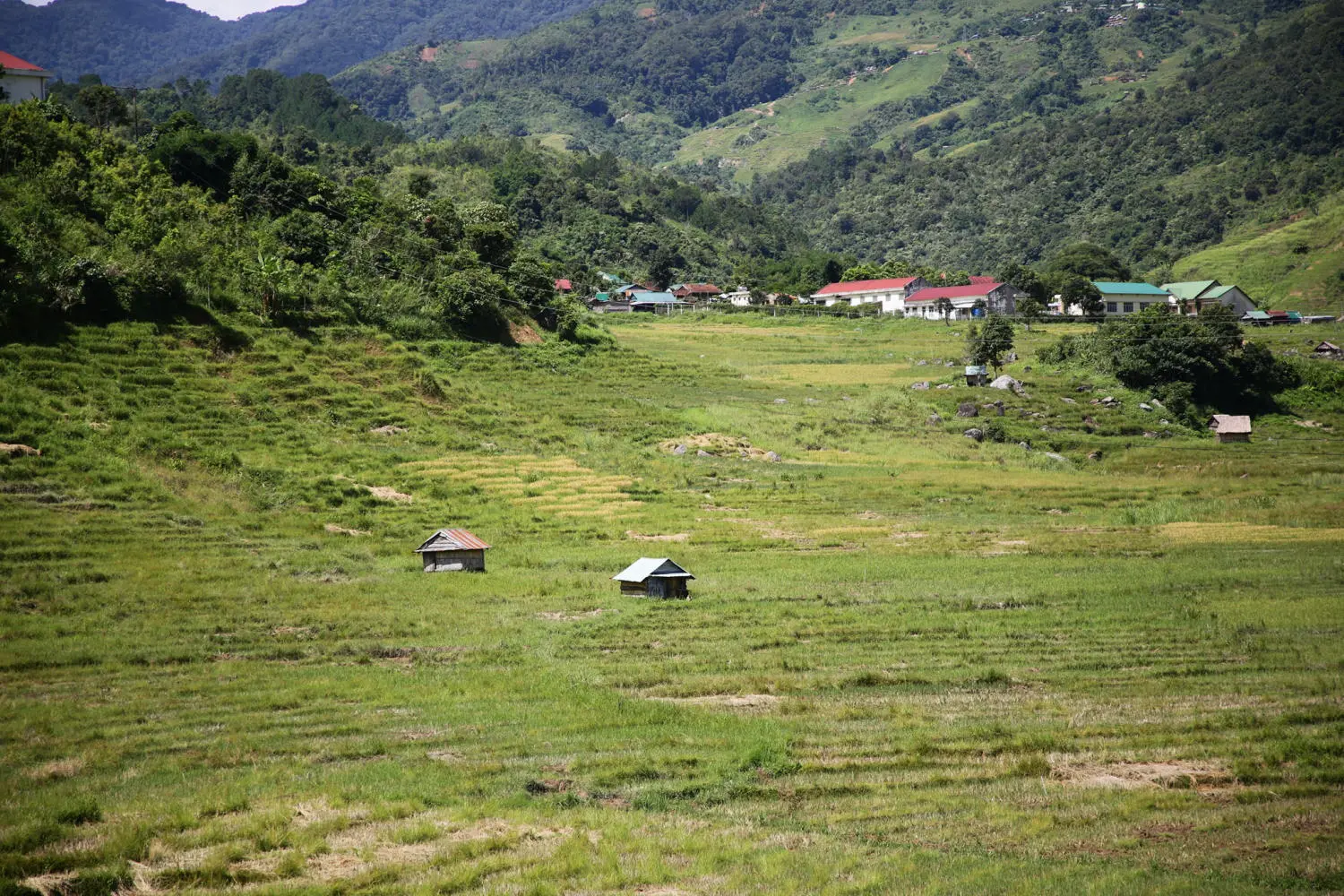 Chiêm ngưỡng Ruộng bậc thang Ngọc Linh đẹp mê hồn trên cao nguyên hùng vĩ 5