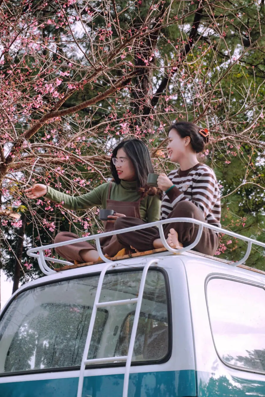 Đến Măng Đen kh&aacute;m ph&aacute; v&ugrave;ng đất v&agrave; con người dễ thương nơi đ&acirc;y 4