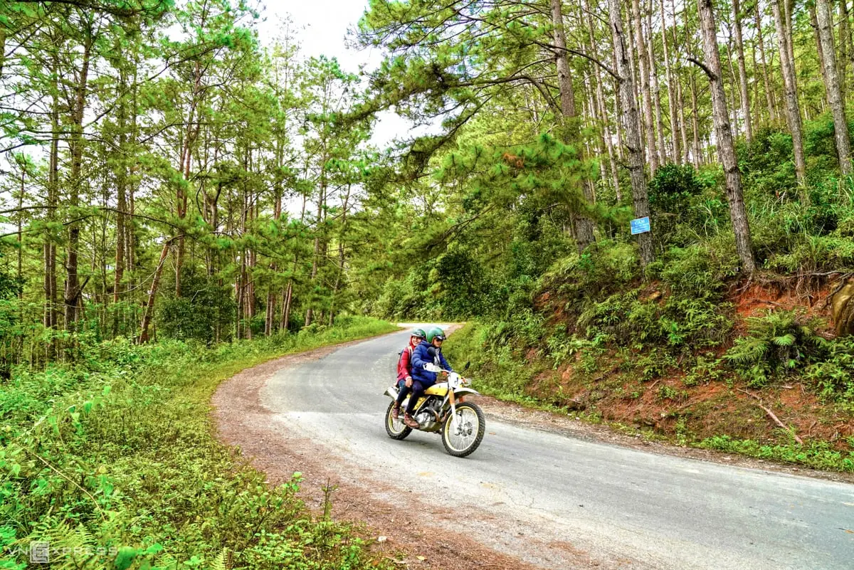 Đến rừng th&ocirc;ng Măng Đen trải nghiệm 'Đ&agrave; Lạt thứ hai' nơi T&acirc;y Nguy&ecirc;n đại ng&agrave;n 2
