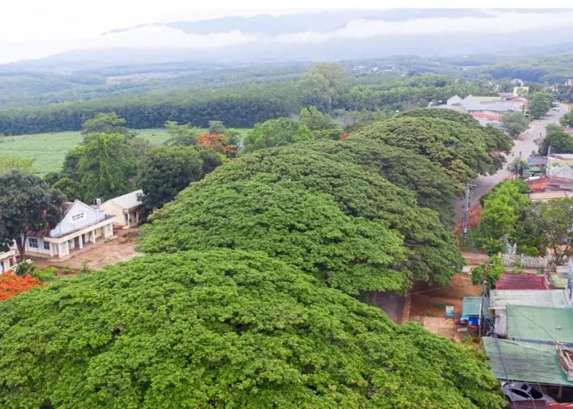 Kh&aacute;m ph&aacute; Đăk T&ocirc; mảnh đất chiến lược điểm s&aacute;ng của Bắc T&acirc;y Nguy&ecirc;n 4