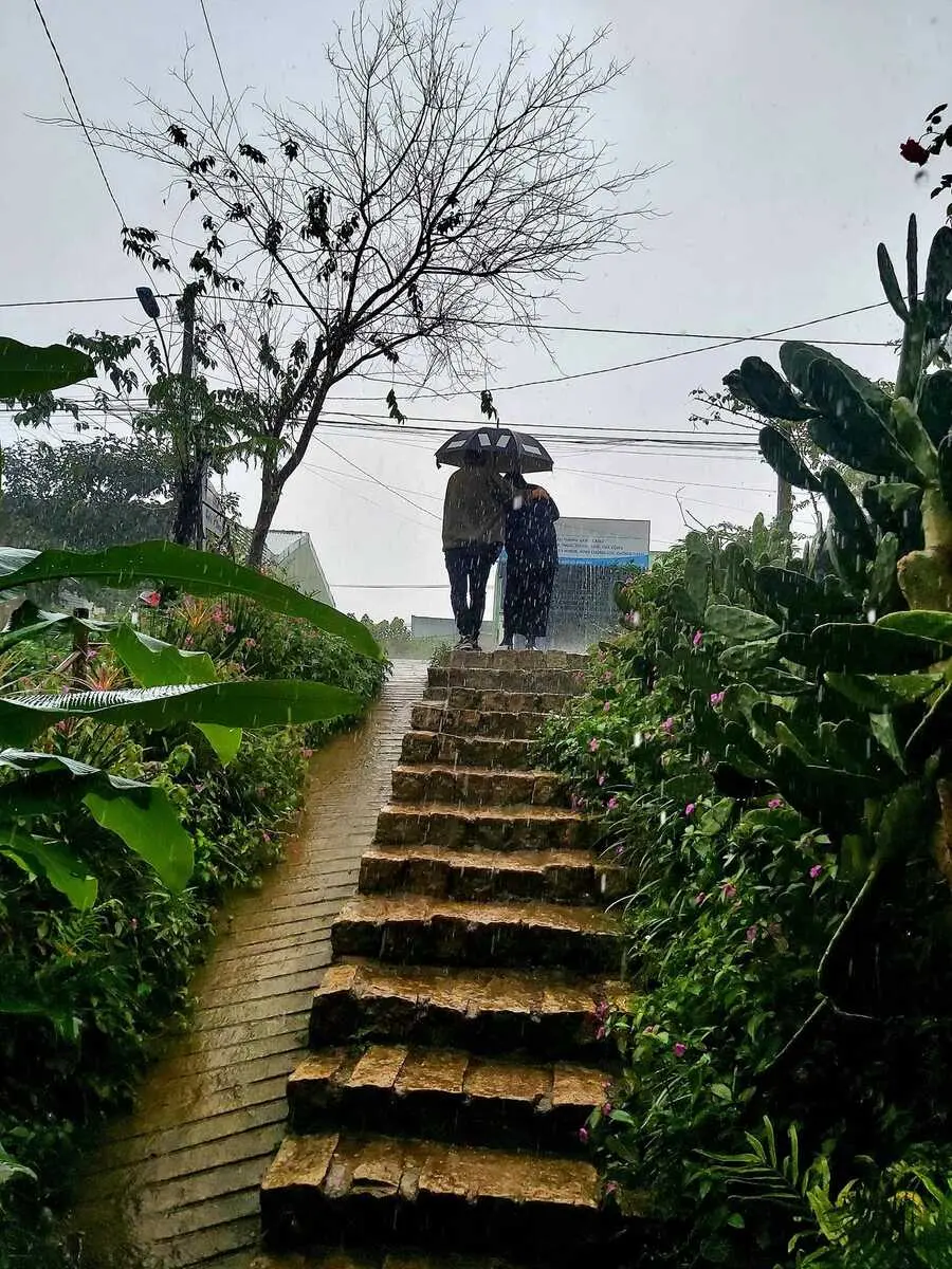 La Petite Cafe Măng Đen, điểm ngắm rừng th&ocirc;ng cực chill tại Kon Tum 3