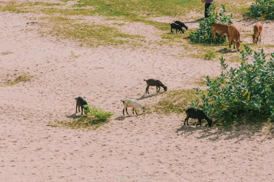 Lang thang Kon Tum kh&aacute;m ph&aacute; bức tranh h&ugrave;ng vĩ nơi đại ng&agrave;n b&igrave;nh y&ecirc;n 10