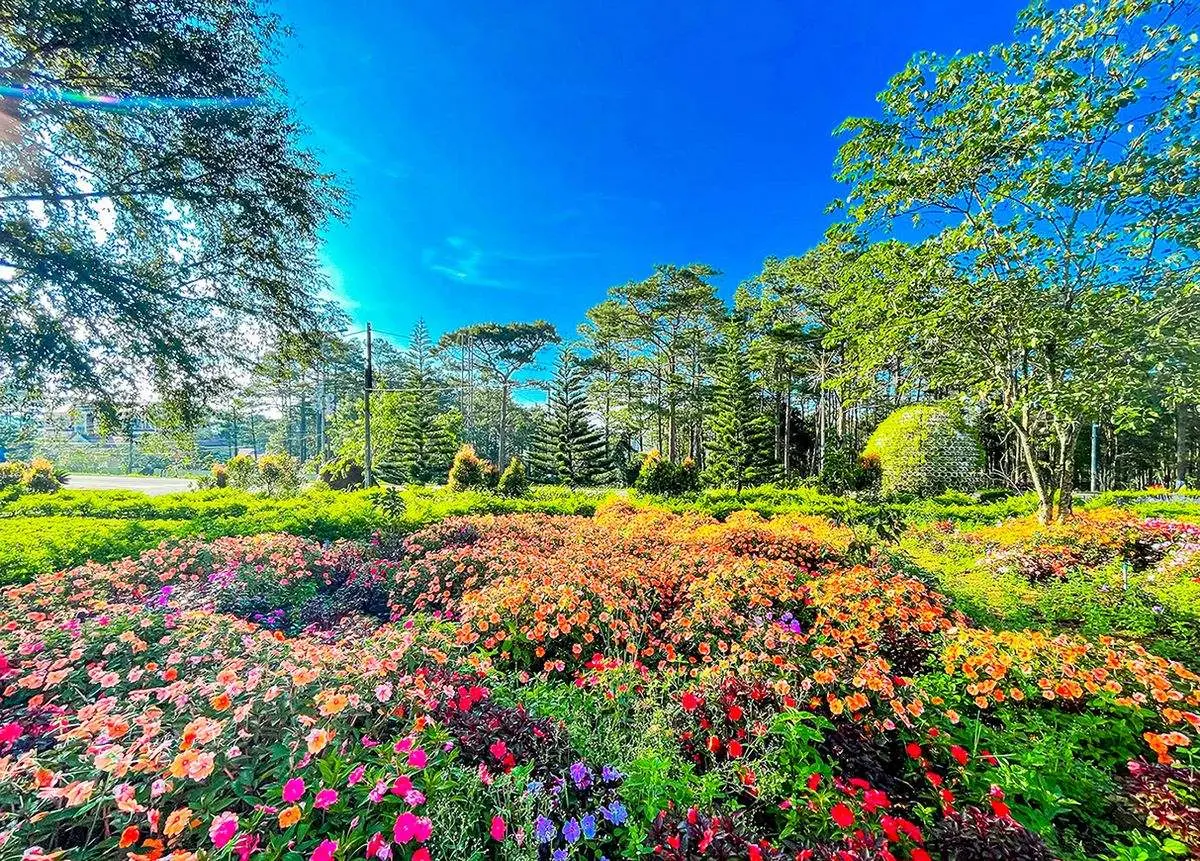 Review Măng Đen 2N2D, kh&uacute;c h&aacute;t du dương giữa đại ng&agrave;n 5