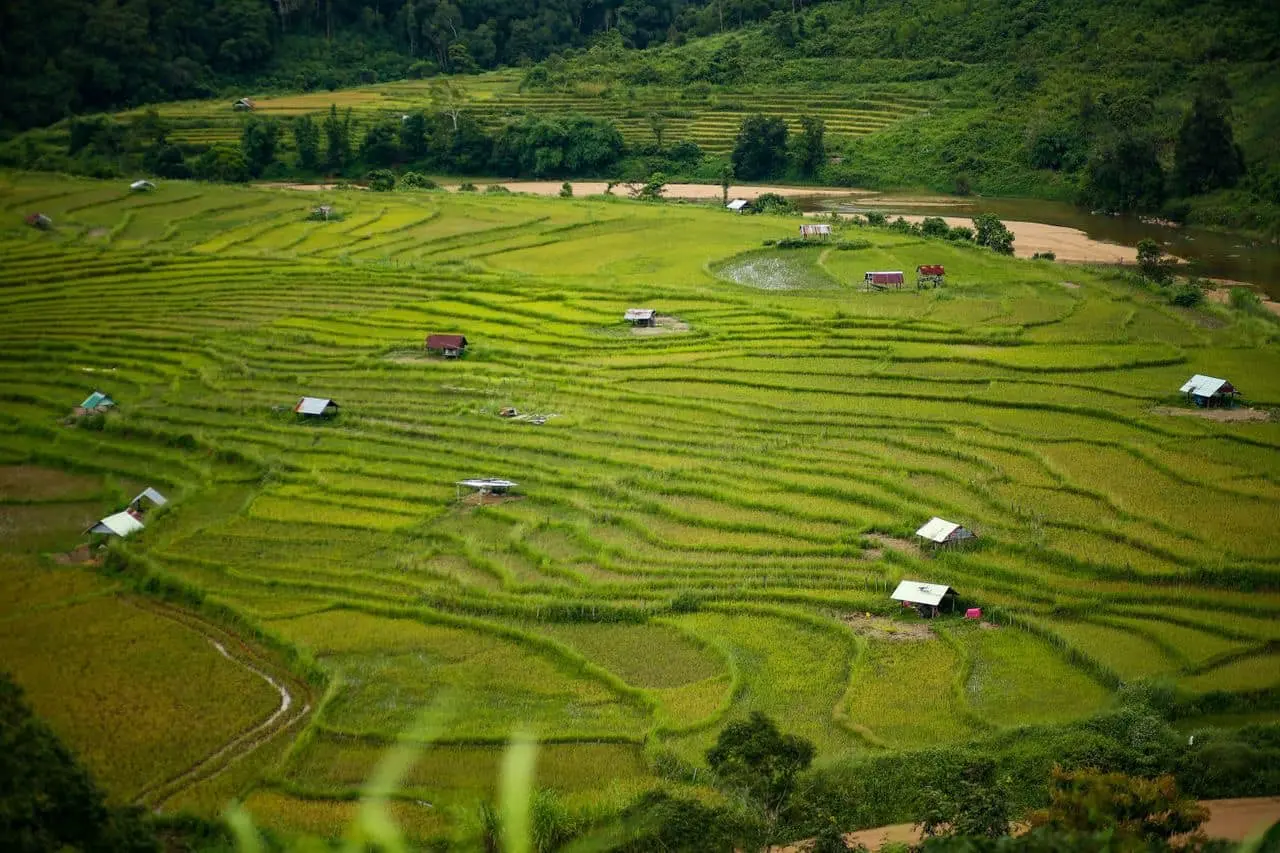 Ruộng bậc thang l&agrave;ng Kon Tu Rằng b&igrave;nh y&ecirc;n tr&ecirc;n cao nguy&ecirc;n thơ mộng 3