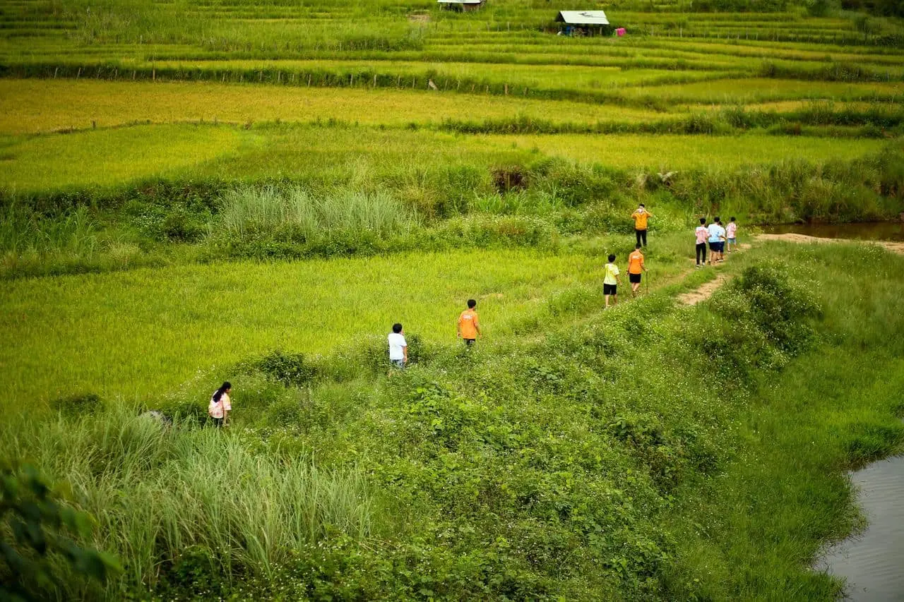 Ruộng bậc thang l&agrave;ng Kon Tu Rằng b&igrave;nh y&ecirc;n tr&ecirc;n cao nguy&ecirc;n thơ mộng 7