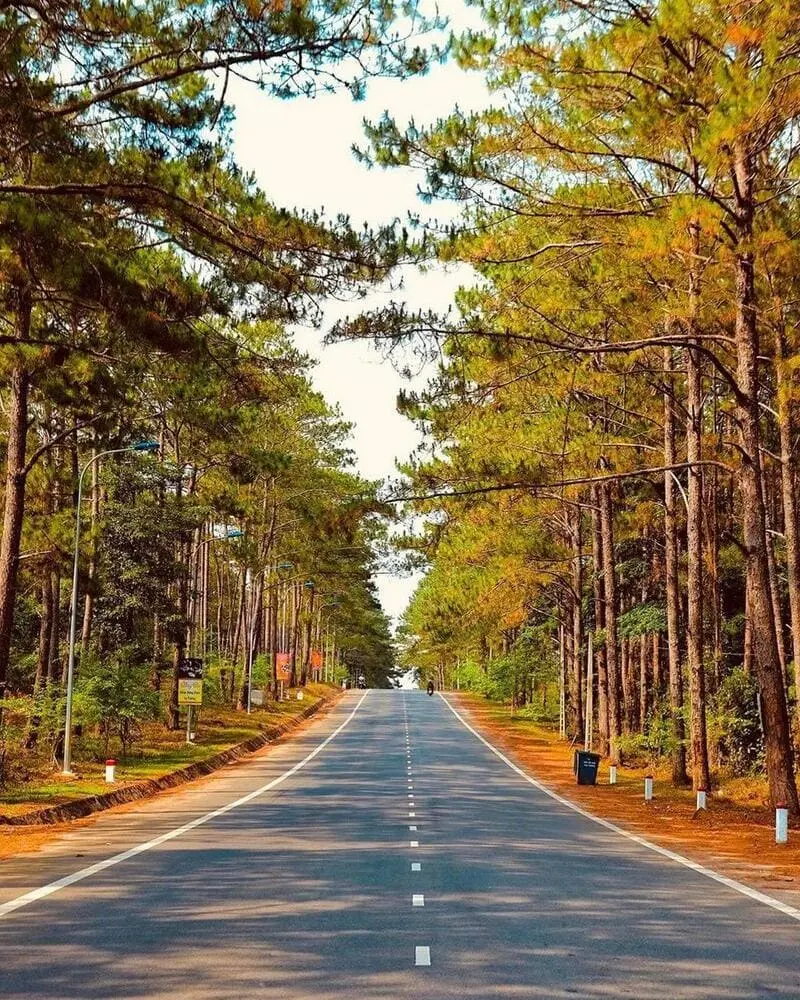 Trọn bộ kinh nghiệm du lịch Măng Đen, về nơi v&ugrave;ng cao thanh b&igrave;nh 2