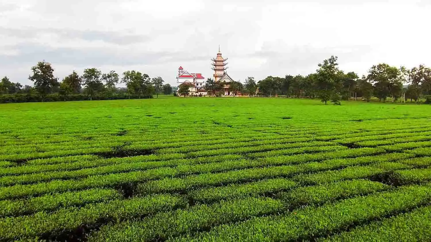 Kh&aacute;m ph&aacute; Pleiku - Kon Tum - Măng Đen 4N3D cực th&uacute; vị 6