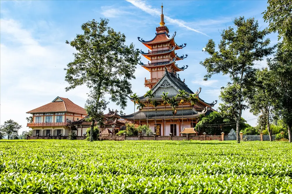Kh&aacute;m ph&aacute; Pleiku - Kon Tum - Măng Đen 4N3D cực th&uacute; vị 7