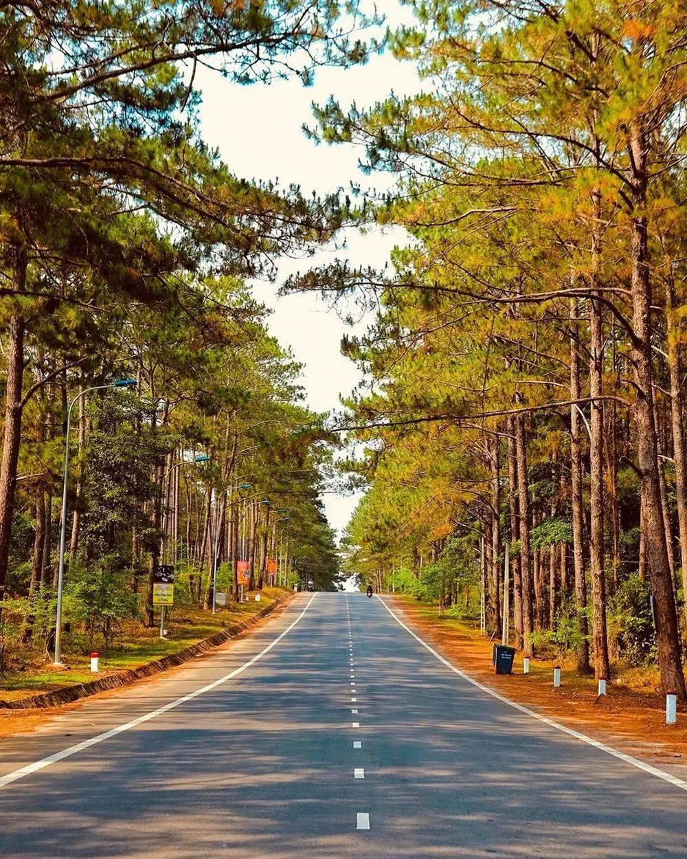 Tour H&agrave; Nội - Gia Lai - Kon Tum - Biển Hồ 4N3D si&ecirc;u hấp dẫn 8